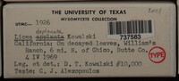 Image Associated With the Occurence